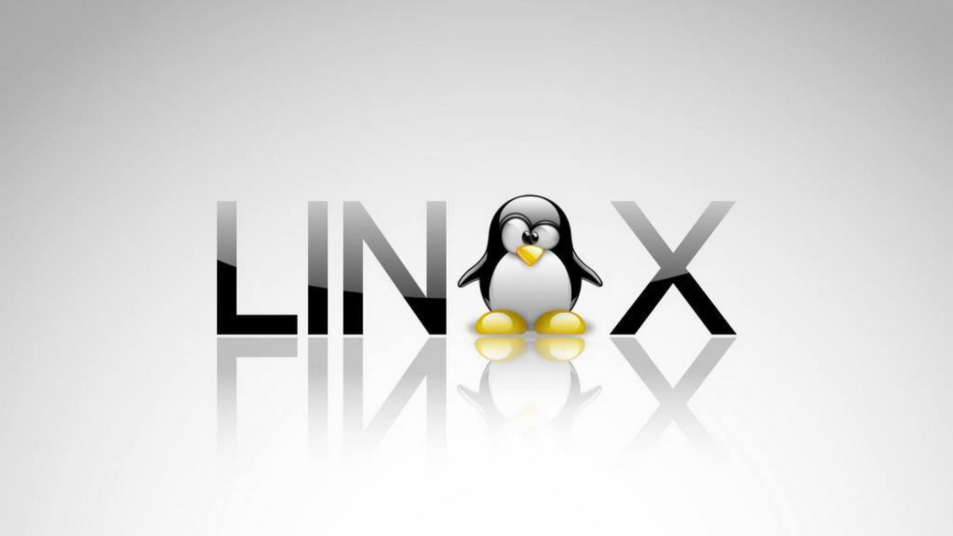 Windows roda programas Linux