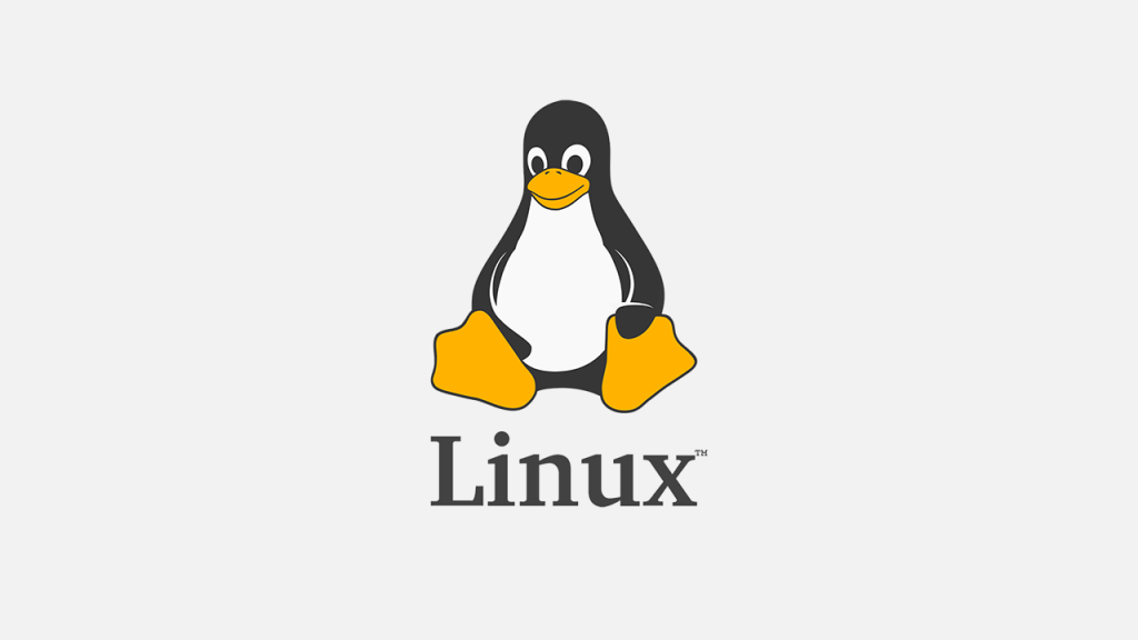 XorDDoS, Mirai e Mozi: malwares para Linux aumentam 35% em 2021