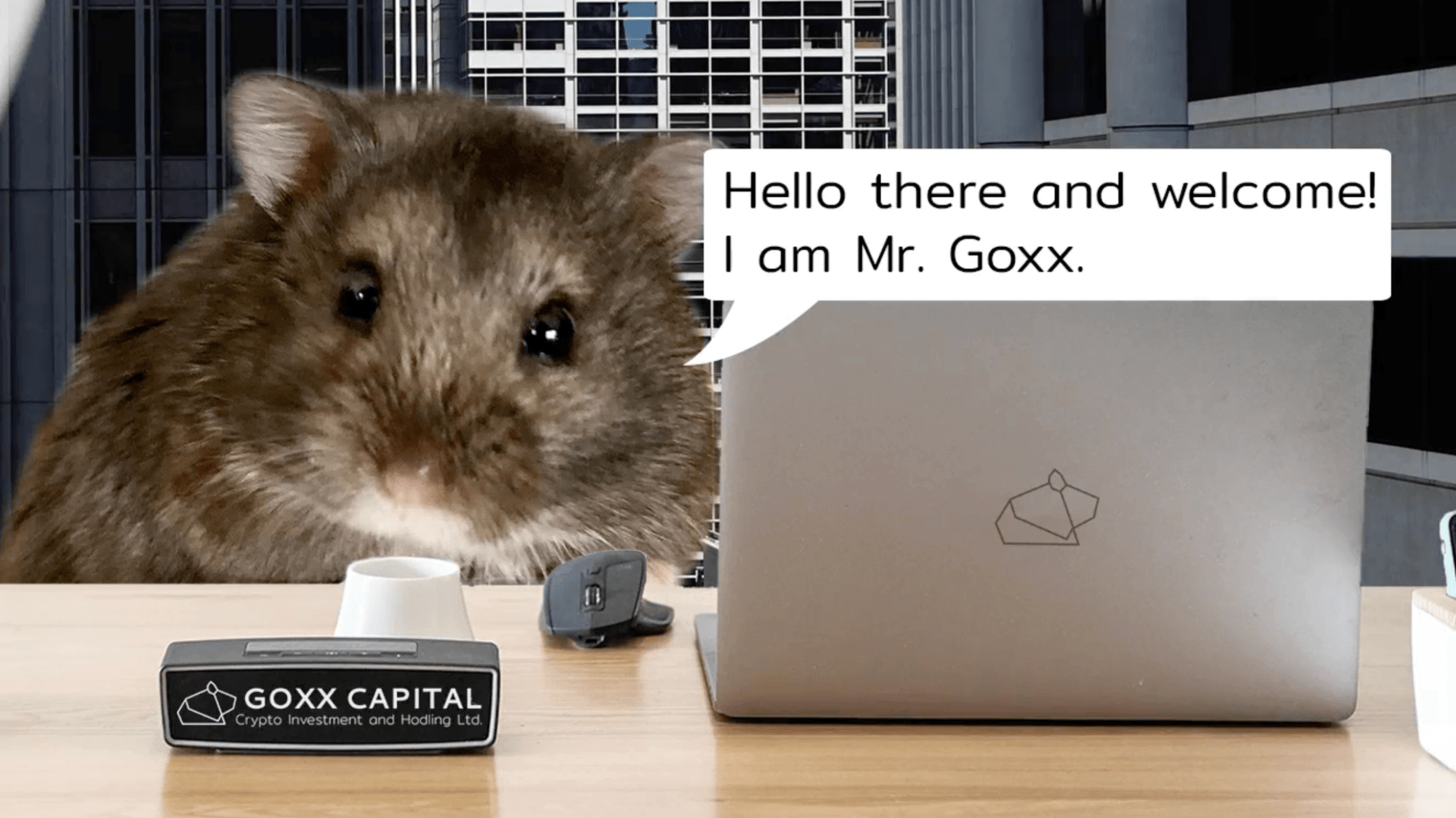 Conheça o hamster que investe em criptomoedas