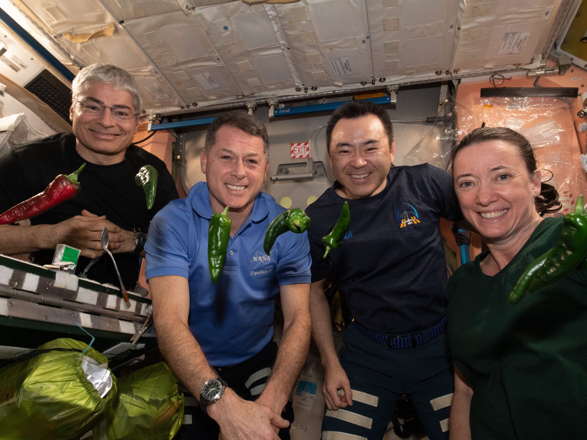 Astronautas plantaram pimentas no espaço
