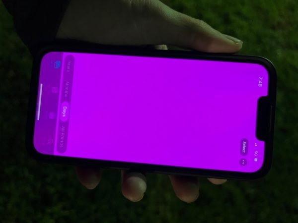 iPhone com tela rosa