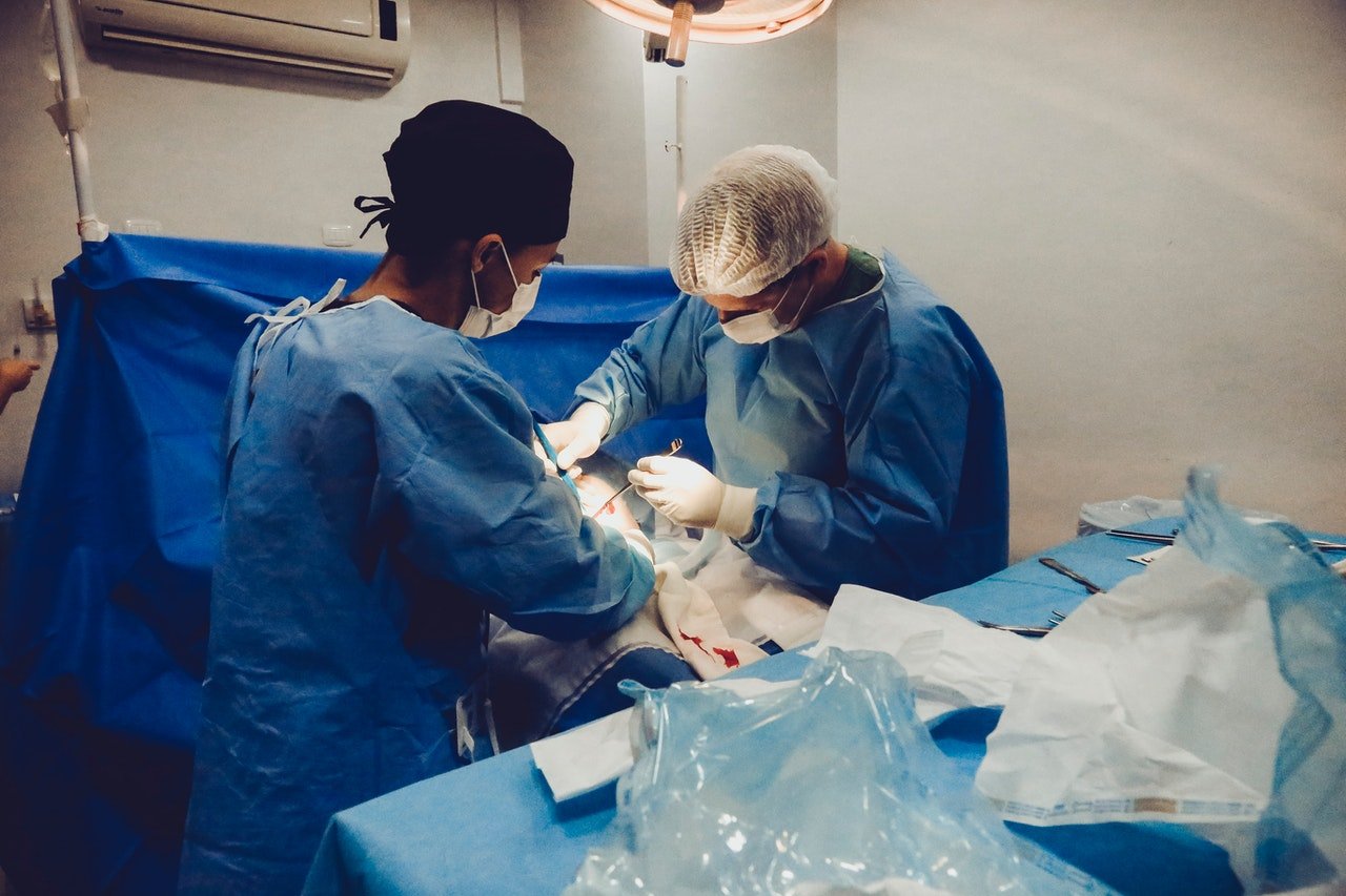 Médicos transplantam coração de porco em humano