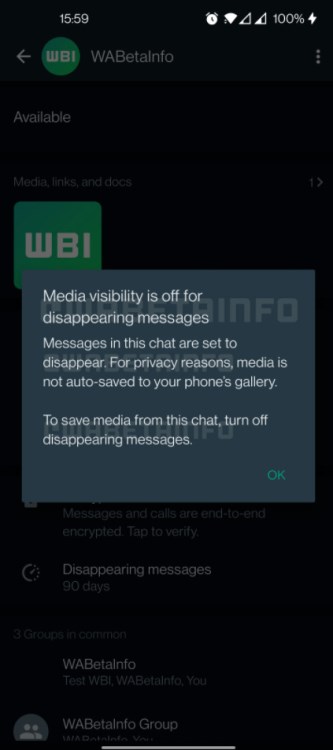 WhatsApp Beta - mídia em mensagens temporárias (2)
