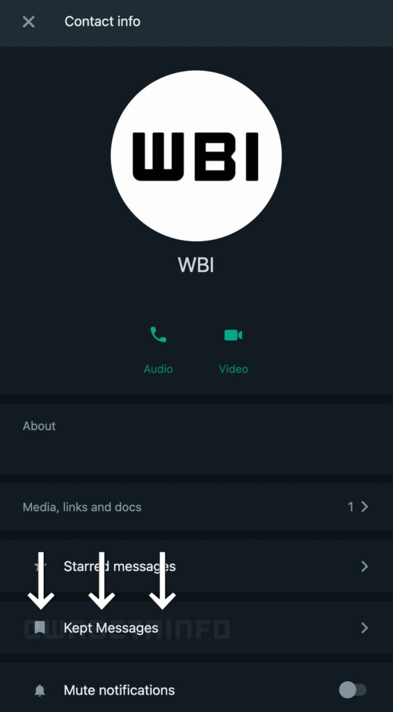 WhatsApp - função para guardar mensagens temporárias