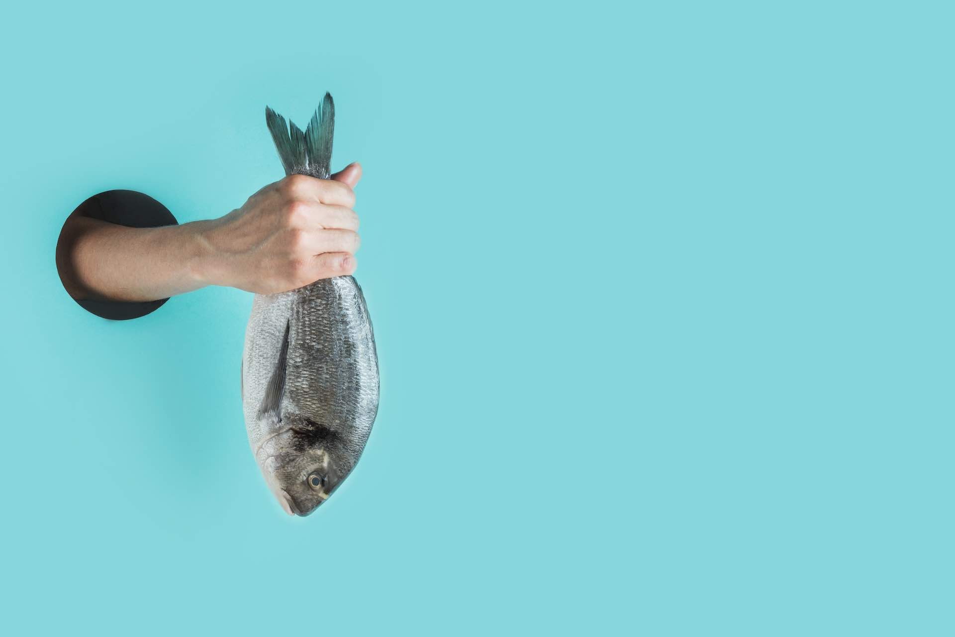 Cientistas criam LEDs sustentáveis colocando peixes mortos no microondas; entenda