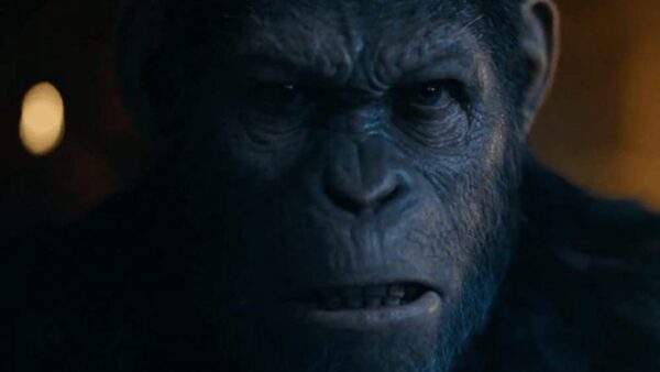 Cena do filme "Planeta dos Macacos: A Guerra", mostrando o chimpanzé Cesar, que liderou um grupo de primatas para dominar a Terra