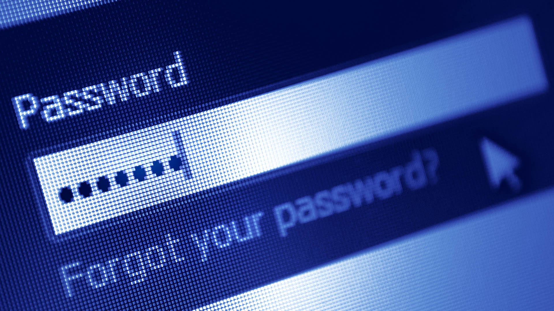 Imagem mostra uma caixa de Password para acessar um serviço