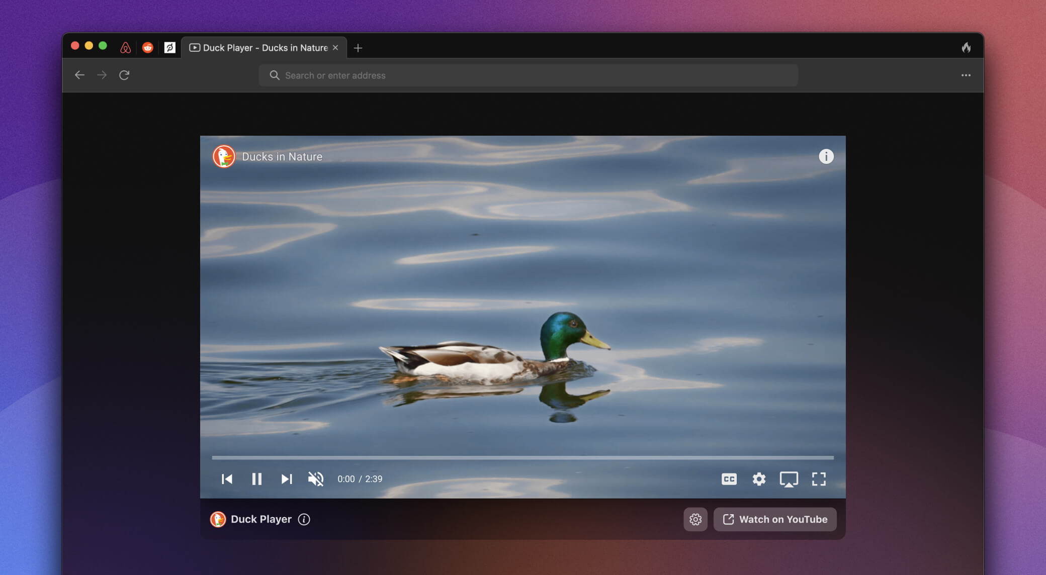 DuckDuckGo libera beta público para Mac