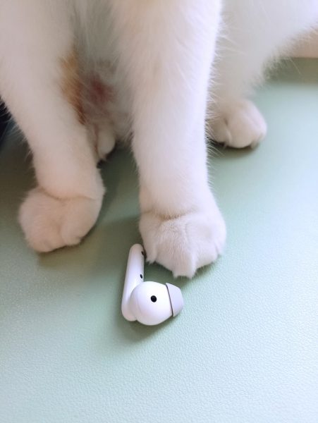 Review Huawei FreeBuds SE - um dos fones ao lado de uma pata de gato