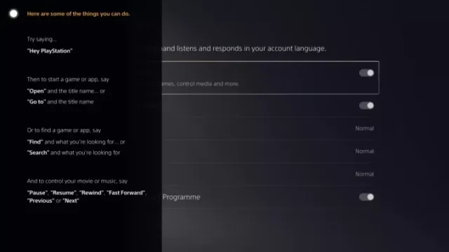 Captura mostra opção de comandos de voz do PlayStation 5