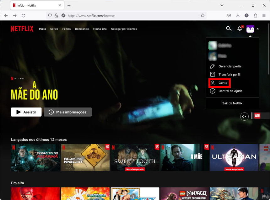 Netflix: como adicionar um assinante extra