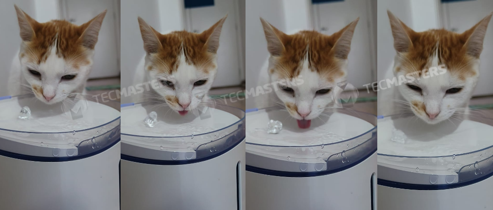 Gato de orelhas laranjas e rosto branco aparece em 4 imagens diferentes, uma ao lado da outra, enquanto bebe água no Bebedouro Pet KaBuM! Smart 500