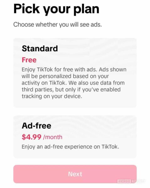 TikTok testa plano de assinatura sem anúncios no aplicativo