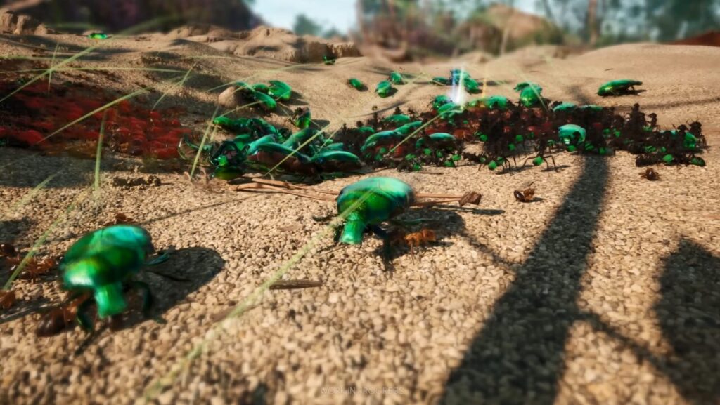 Jogo das formigas