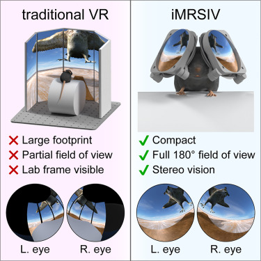 óculos de realidade virtual em miniatura para ratos