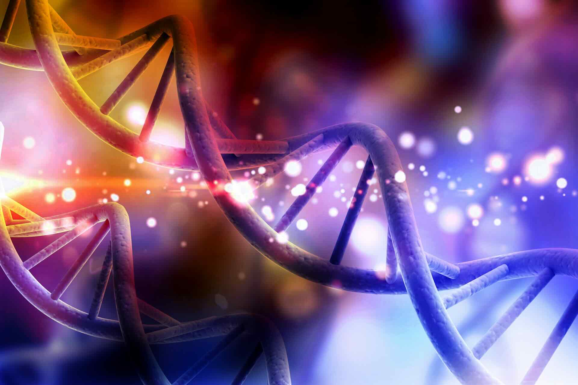 DNA humano